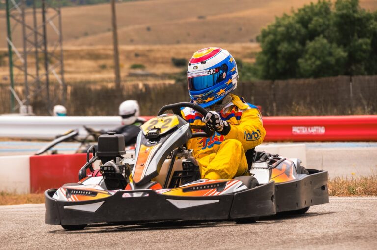 speed, go kart, racing-6777160.jpg